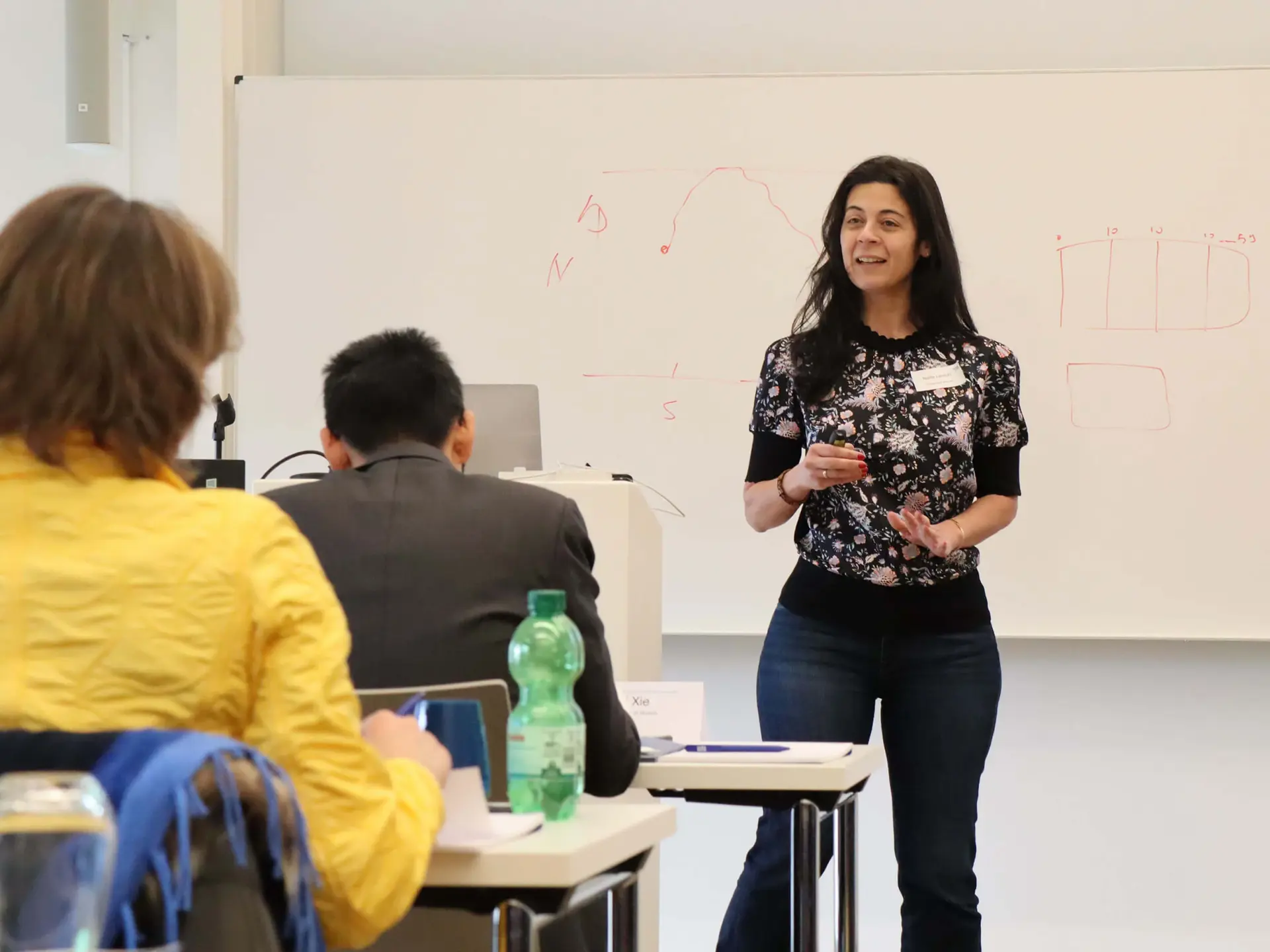 Prof. Nadia Lahrichi gives a lecture.